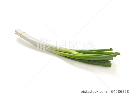 Fresh green leek Fresh green leek 64386828