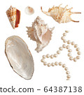 Set of sea shells and pearls, isolated photo 64387138
