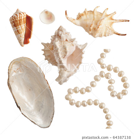 Set of sea shells and pearls, isolated photo Set of sea shells and pearls, isolated photo 64387138