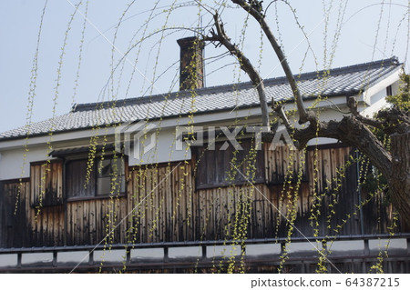 Fushimi Sake Brewery Willow Buds Fushimi Sake Brewery Willow Buds 64387215