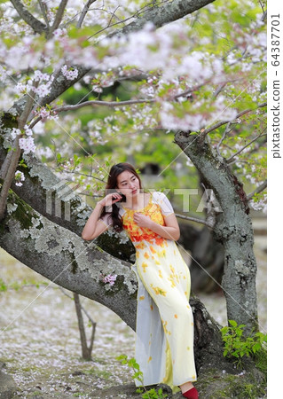 Ao dai 64387701
