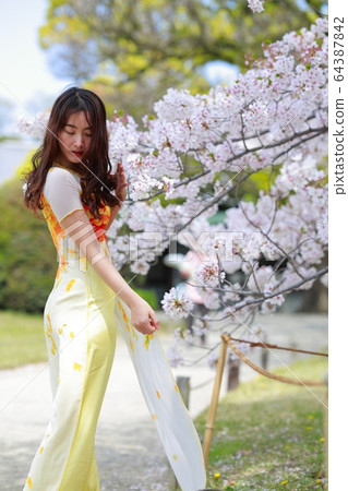 《Kagawa Prefecture》 Ritsurin Garden ・ Vietnamese wearing Ao Dai 《Kagawa Prefecture》 Ritsurin Garden ・ Vietnamese wearing Ao Dai 64387842