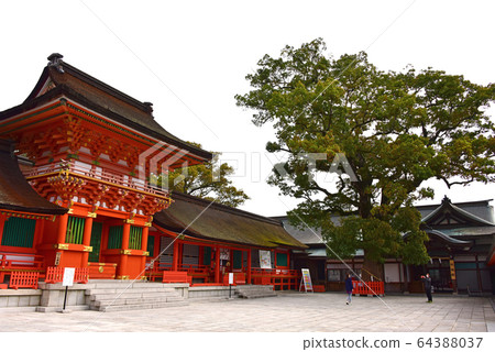 Oita Usa Jingu Shrine 64388037
