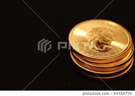 加拿大金幣 64388754