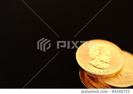 Canadian gold coins 64388755