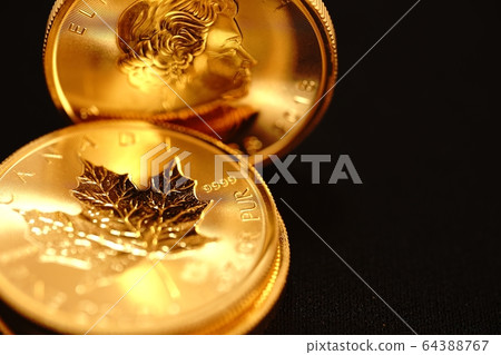 加拿大金幣 64388767