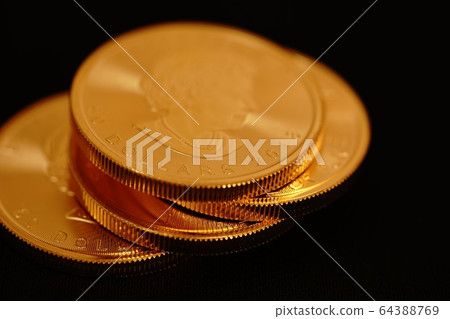 Canadian gold coins 64388769