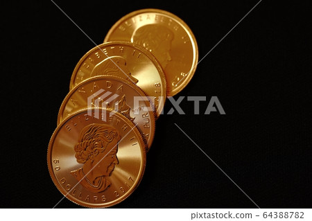 加拿大金幣 64388782