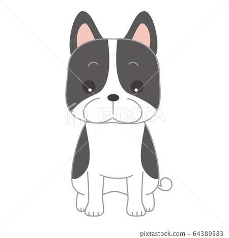 Boston Terrier dog illustration Boston Terrier dog illustration 64389583