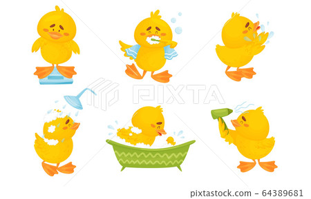 Cartoon Yellow Chicken in the Morning Taking a Shower and Doing Its Feathers Vector Set 64389681