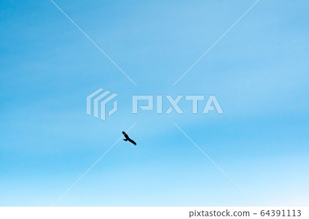 Tobi flying in the sky / Silhouette Tobi flying in the sky / Silhouette 64391113