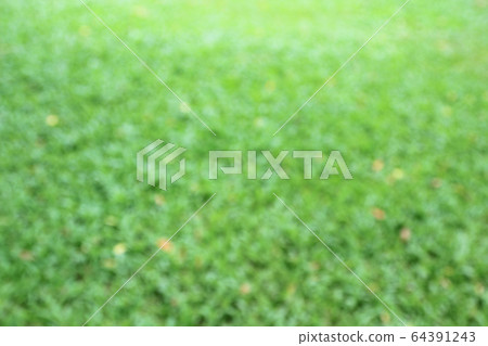 Blur grass on green background Blur grass on green background 64391243