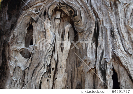 Old natural wooden shabby background close up Old natural wooden shabby background close up 64391757
