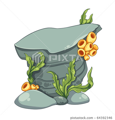 Marine algae and sponges growing on a rock sea Marine algae and sponges growing on a rock sea 64392346