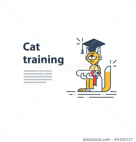 Education concept, happy learning, graduation hat Education concept, happy learning, graduation hat 64392527