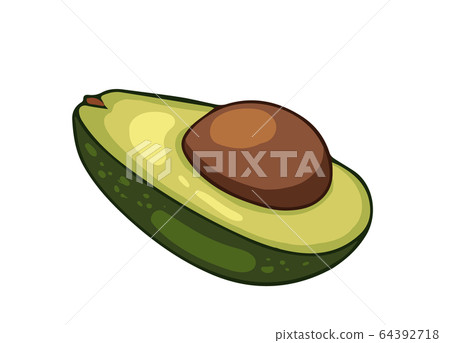 Avocado fruit. Cartoon vector icon isolated on Avocado fruit. Cartoon vector icon isolated on 64392718