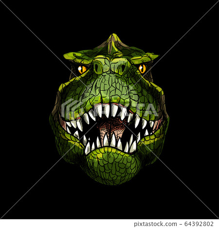 T-Rex head on black background, full color 64392802