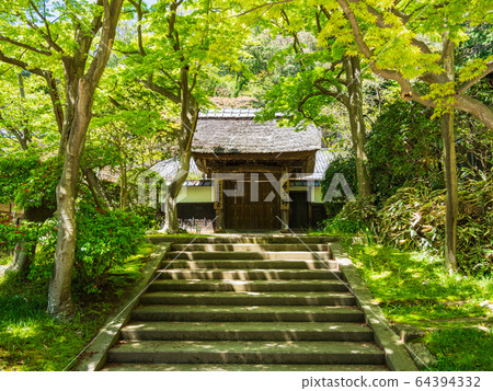 鎌倉恩卡寺茨城縣森林 64394332