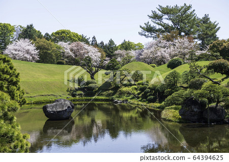 Scenery of cherry blossoms and Jojuen in Suizenji Park, a tourist destination in Kumamoto prefecture in spring Scenery of cherry blossoms and Jojuen in Suizenji Park, a tourist destination in Kumamoto prefecture in spring 64394625
