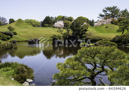 春天熊本縣旅遊勝地水前寺公園的櫻花和成天園 春天熊本縣旅遊勝地水前寺公園的櫻花和成天園 64394626