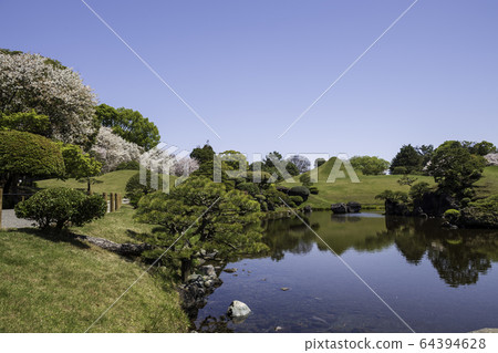 Scenery of cherry blossoms and Jojuen in Suizenji Park, a tourist destination in Kumamoto prefecture in spring Scenery of cherry blossoms and Jojuen in Suizenji Park, a tourist destination in Kumamoto prefecture in spring 64394628