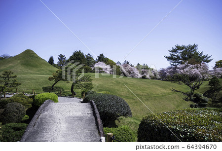 春天熊本縣旅遊勝地水前寺公園的櫻花和成天園 春天熊本縣旅遊勝地水前寺公園的櫻花和成天園 64394670