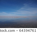 〜阿塔卡馬州智利〜阿塔卡馬鹽湖的絕景 64394761