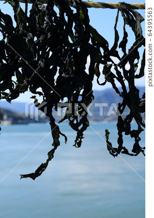 Dried seaweed Dried seaweed 64395563