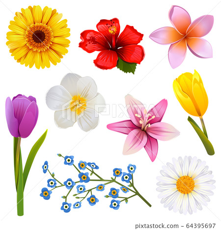 Vector Flower Icons Set 3 64395697