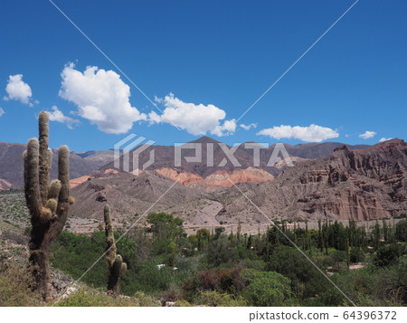 -Huju, Argentina-Humahuaca Valley and Cactus -Huju, Argentina-Humahuaca Valley and Cactus 64396372