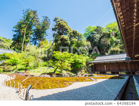 Kamakura Nobunji Temple京都花園 Kamakura Nobunji Temple京都花園 64398194