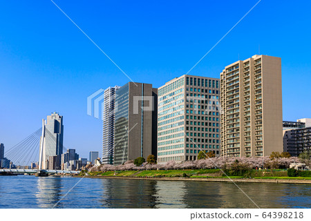 Cherry blossoms and Chuo Ohashi on the Sumida River Terrace in Tokyo 64398218