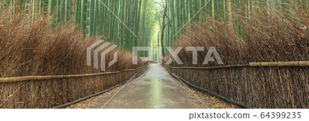 京都府嵐山竹林小雨 京都府嵐山竹林小雨 64399235