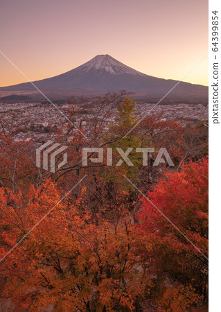 山梨新村山山仙根公園富士山紅葉夜景 64399854