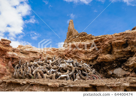 Pile of animal skulls near small old Tibetan monastery at the holy Lake Manasarovar, Tibet Pile of animal skulls near small old Tibetan monastery at the holy Lake Manasarovar, Tibet 64400474