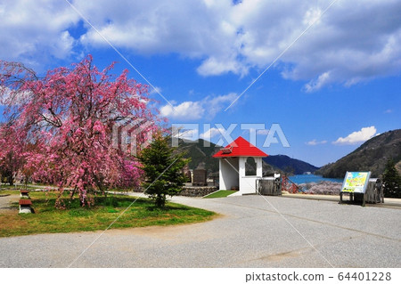 神奈川縣宮瀨湖濱花園，幸福的鐘聲和垂櫻在主樓梯上 64401228