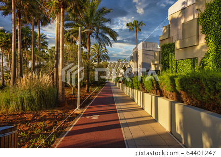 A cycle and footpath on the beach of Sa Coma on 64401247