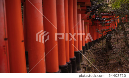 京都府伏見稻荷大社神社鳥居雨 京都府伏見稻荷大社神社鳥居雨 64402710
