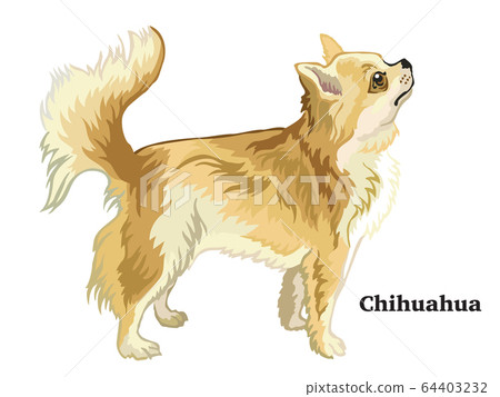 Colored decorative standing portrait of Colored decorative standing portrait of 64403232