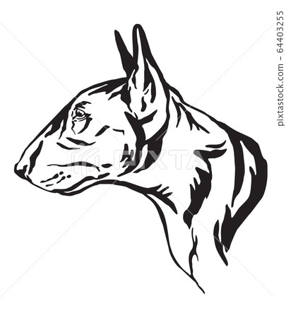 bull terrier vector