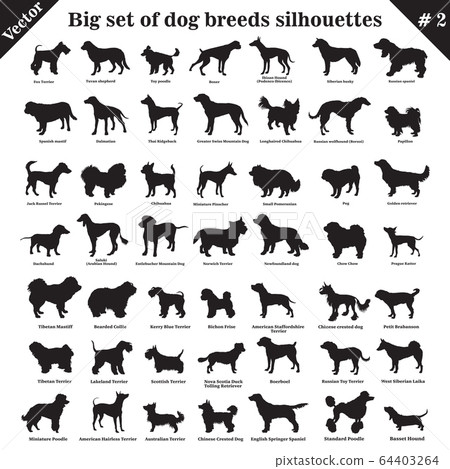 Vector dogs silhouettes 2 64403264