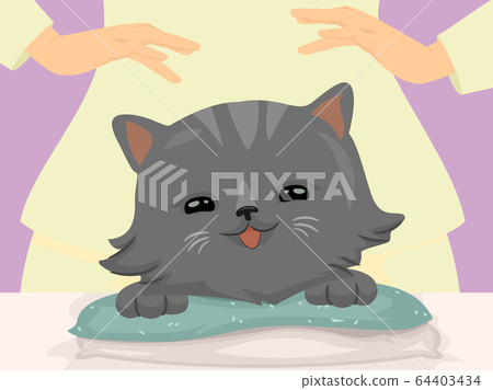 Cat Hand Reiki Massage Illustration 64403434
