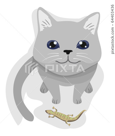 Cat Pet Gift Lizard Illustration Cat Pet Gift Lizard Illustration 64403436