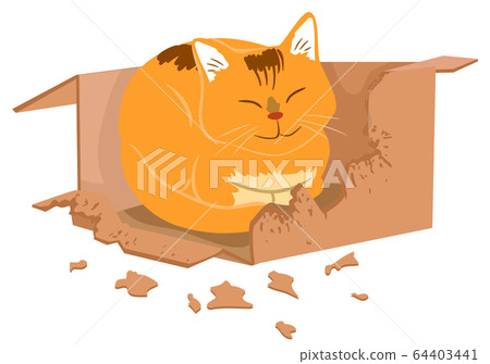 Cat Box Biting Illustration Cat Box Biting Illustration 64403441