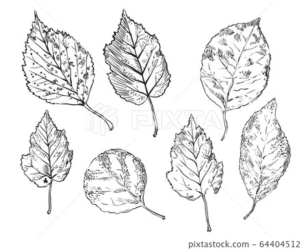 Vector Hand Drawing Leaves 5 Stock Illustration