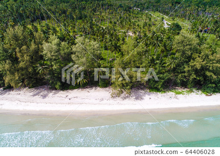 Tropical island with green tree forest white snad 64406028
