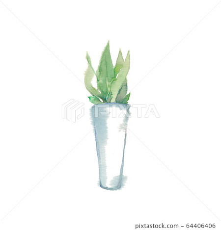 葉子植物 葉子植物 64406406