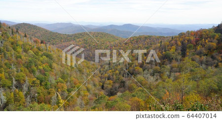 Autumn leaves of Blue Ridge Parkway, North Carolina, USA 64407014