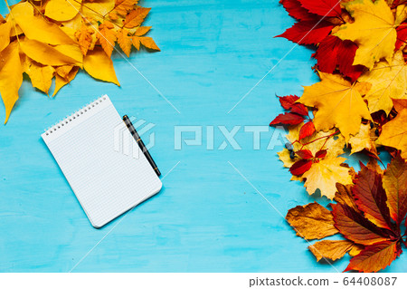 autumn background red and yellow fallen leaves place for inscription 64408087