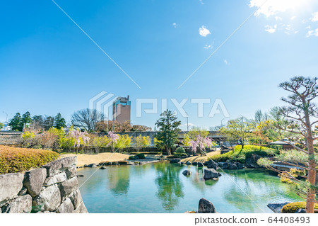 群馬縣前橋林閣閣花園景觀 64408493